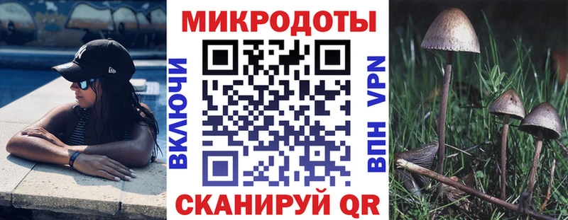 что такое наркотик  Ленинск-Кузнецкий  Псилоцибиновые грибы прущие грибы 